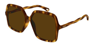 Chloé CH0086S women Havana Oversize Sunglasses