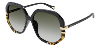 Chloé CH0105S women Black Oversize Sunglasses