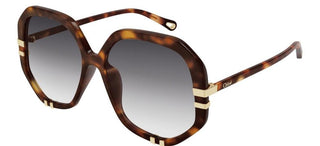 Chloé CH0105S women Havana Oversize Sunglasses