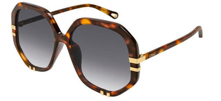 Chloé CH0105S women Havana Oversize Sunglasses