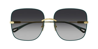 Chloé CH0134S women Green Geometric Sunglasses