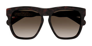 Chloé CH0149SA women Havana Oversize Sunglasses