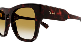 Chloé CH0149S women Havana Geometric Sunglasses