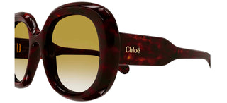 Chloé CH0153S women Havana Oversize Sunglasses