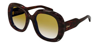 Chloé CH0153S women Havana Oversize Sunglasses