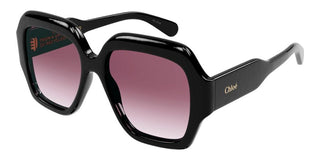 Chloé CH0154S women Black Butterfly Sunglasses