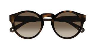 Chloé CH0158S women Havana Round Sunglasses