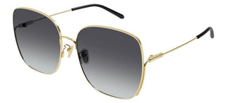 Chloé CH0170SA women Gold Butterfly Sunglasses