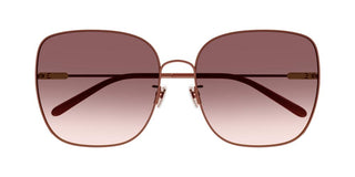 Chloé CH0170SA women Brown Butterfly Sunglasses