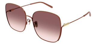 Chloé CH0170SA women Brown Butterfly Sunglasses