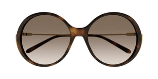 Chloé CH0171S women Havana Oversize Sunglasses