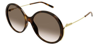 Chloé CH0171S women Havana Oversize Sunglasses