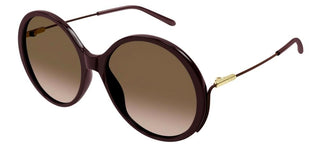 Chloé CH0171S women Brown Oversize Sunglasses