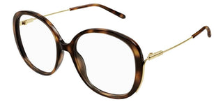 Chloé CH0172O women Havana Oversize Eyeglasses