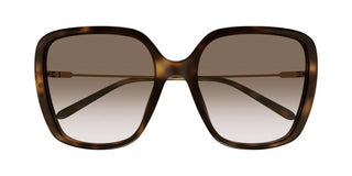 Chloé CH0173S women Havana Butterfly Sunglasses