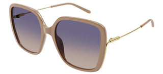 Chloé CH0173S women Brown Butterfly Sunglasses