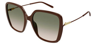 Chloé CH0173S women Brown Butterfly Sunglasses