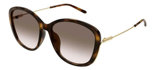 Chloé CH0175SK women Havana Oversize Sunglasses