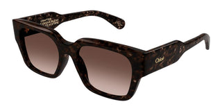 Chloé CH0190S women Havana Squared Sunglasses