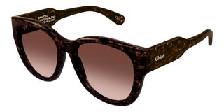 Chloé CH0192S women Brown Cat Eye Sunglasses