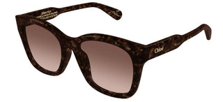 Chloé CH0194SK women Havana Squared Sunglasses