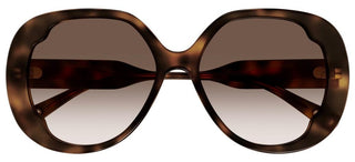 Chloé CH0195SK women Havana Butterfly Sunglasses