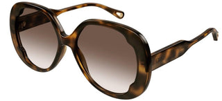 Chloé CH0195S women Havana Butterfly Sunglasses