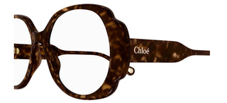 Chloé CH0196O women Havana Butterfly Eyeglasses