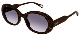 Chloé CH0197SA women Havana Round Sunglasses