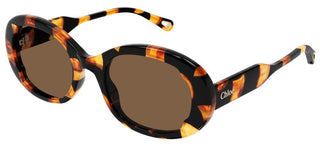 Chloé CH0197SA women Havana Round Sunglasses