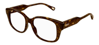 Chloé CH0198O women Havana Squared Eyeglasses