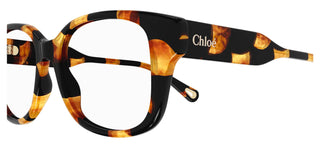 Chloé CH0198O women Havana Squared Eyeglasses