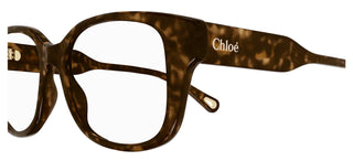 Chloé CH0198O women Havana Squared Eyeglasses