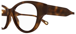 Chloé CH0199O women Havana Cat Eye Eyeglasses