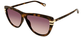 Chloé CH0203S women Havana Squared Sunglasses