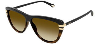 Chloé CH0203S women Black Squared Sunglasses