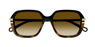 Chloé CH0204S women Black Round Sunglasses