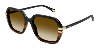 Chloé CH0204S women Black Round Sunglasses