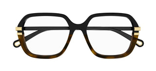 Chloé CH0205O women Havana Squared Eyeglasses