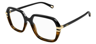 Chloé CH0205O women Havana Squared Eyeglasses