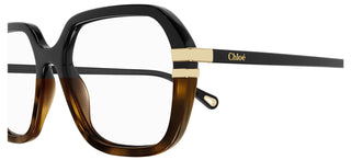 Chloé CH0205O women Havana Squared Eyeglasses