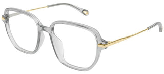 Chloé CH0218OA women Grey Squared Eyeglasses