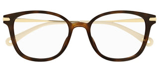 Chloé CH0219OA women Havana Cat Eye Eyeglasses