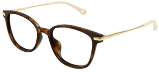 Chloé CH0219OA women Havana Cat Eye Eyeglasses