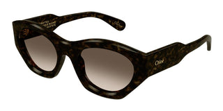 Chloé CH0220S women Havana Cat Eye Sunglasses