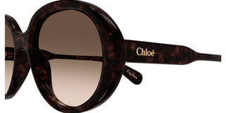 Chloé CH0221S women Havana Round Sunglasses