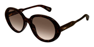 Chloé CH0221S women Havana Round Sunglasses