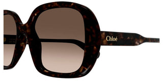 Chloé CH0222S women Havana Oversize Sunglasses