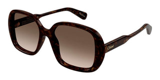 Chloé CH0222S women Havana Oversize Sunglasses