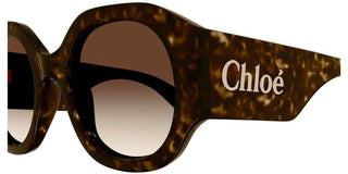 Chloé CH0234S women Havana Oversize Sunglasses